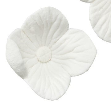 Hydrangea Single - White - Small