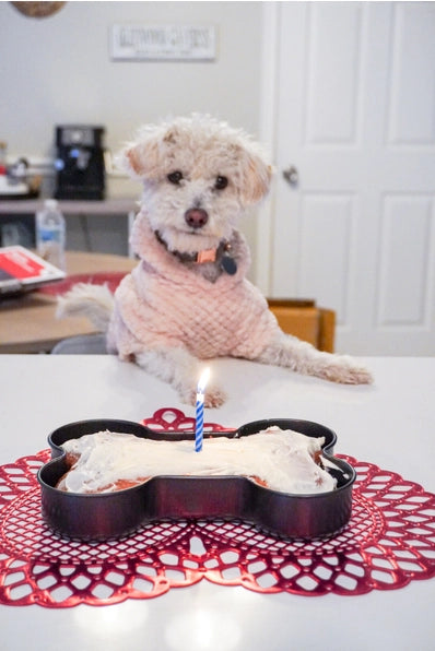 Dog Bone Shaped Cake Pan