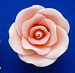 RR Rose- Large Peach- non wired