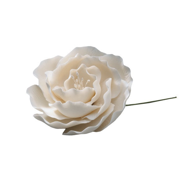Gumpaste (ruffled) Briar Rose - White 3"