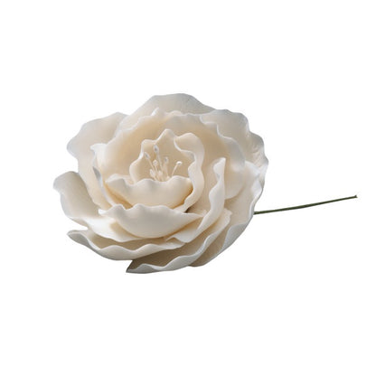 Gumpaste (ruffled) Briar Rose - White 3"