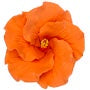Royal Icing Hibiscus - Medium - Orange