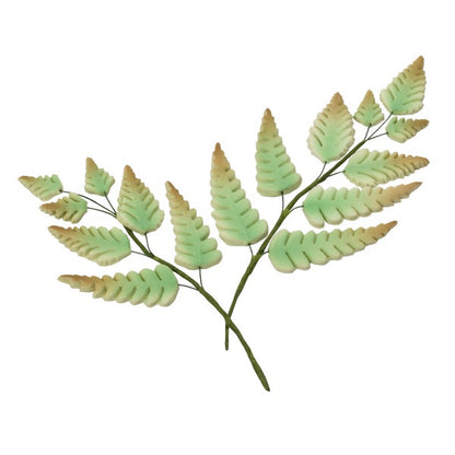 Gumpaste Airy Fern - Medium