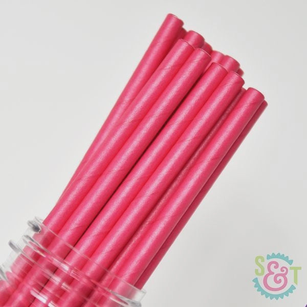 Hot Pink Cake Pop Straws - 25 Straws