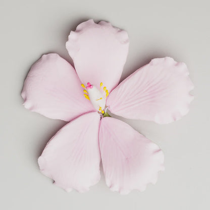 Pink Hibiscus - 3.5 Inches