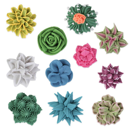 Royal Icing Succulents