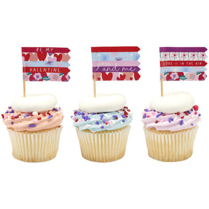 Valentine Love Assortment Cupcake Picks - 12 Picks