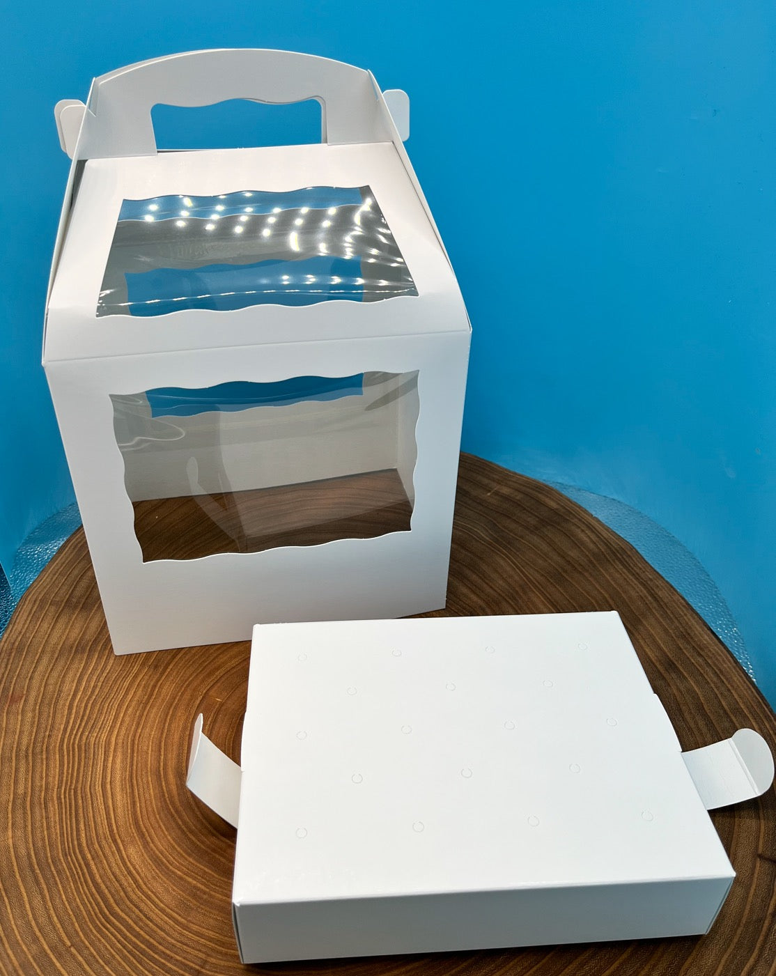 Cake Pop Box for Sticks