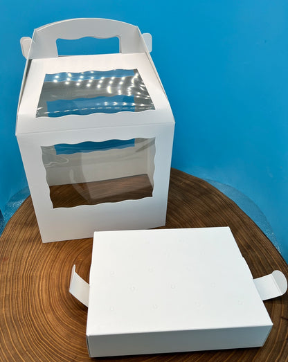Cake Pop Box for Sticks