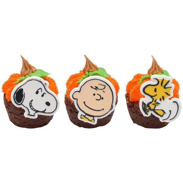 Peanuts® Snoopy®, Charlie Brown and Woodstock® Cupcake Rings - 12 Rings
