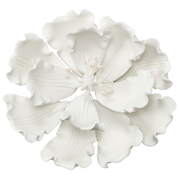 White Peony 4" Open
