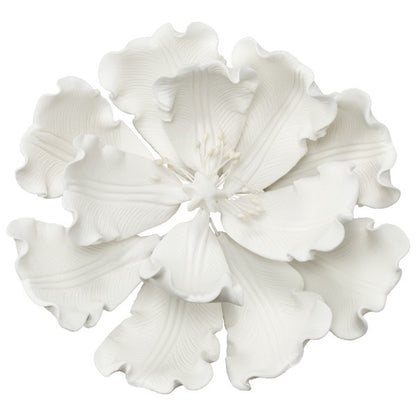 White Peony 4" Open