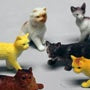 Assorted Cats - 12 pieces
