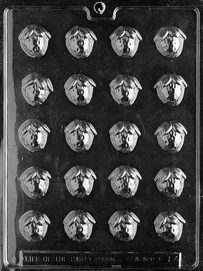Strawberry Chocolate Mold