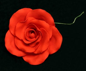 Tea Rose Single w/wire - Red - Extra Large