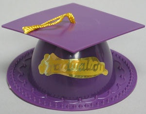 Graduation Cap Topper - Purple