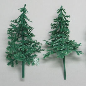 Evergreen Fir Tree
