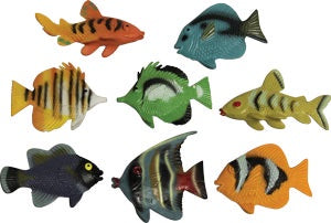 Tropical Assorted Fish - 6 pieces