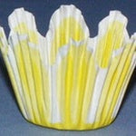 TulipCup Small yellow - 26ish