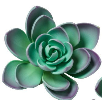 Gumpaste Succulents - Large - Purple/Blue