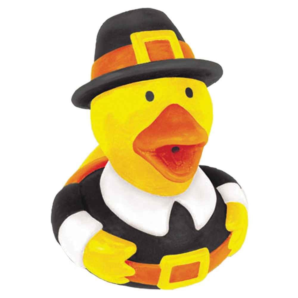 Assorted Rubber Duckie