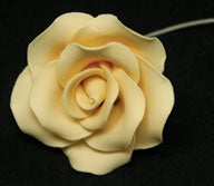Tea Rose Single w/wire - Ivory - Medium
