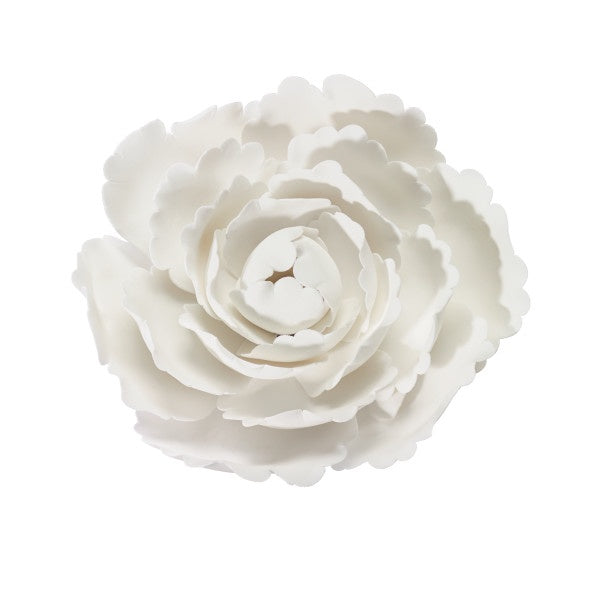 White Gum Paste Peony