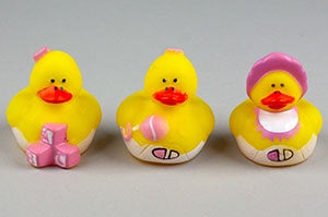 Baby Girl Duck
