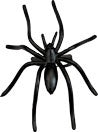 Black Spider Ring - 12 Per Package