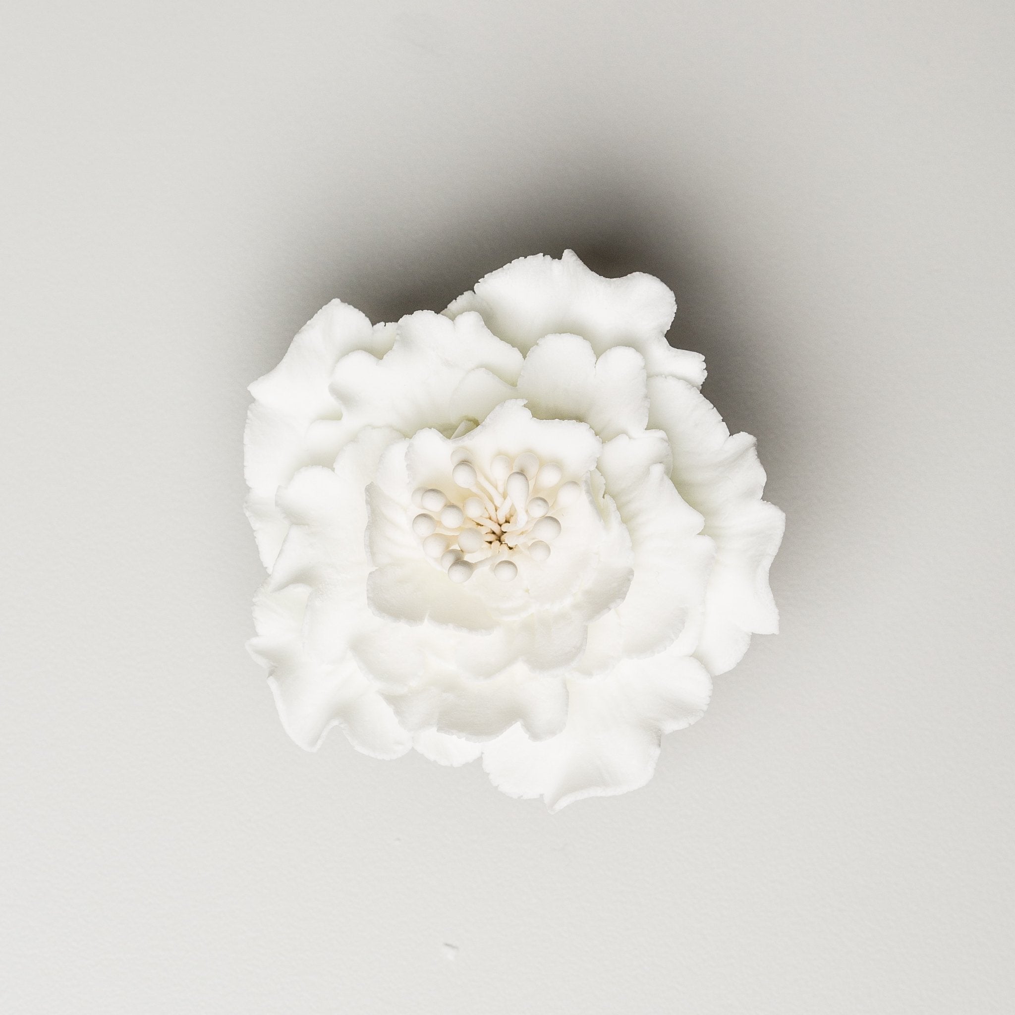 Peony Medium Flower - 2.5"- White