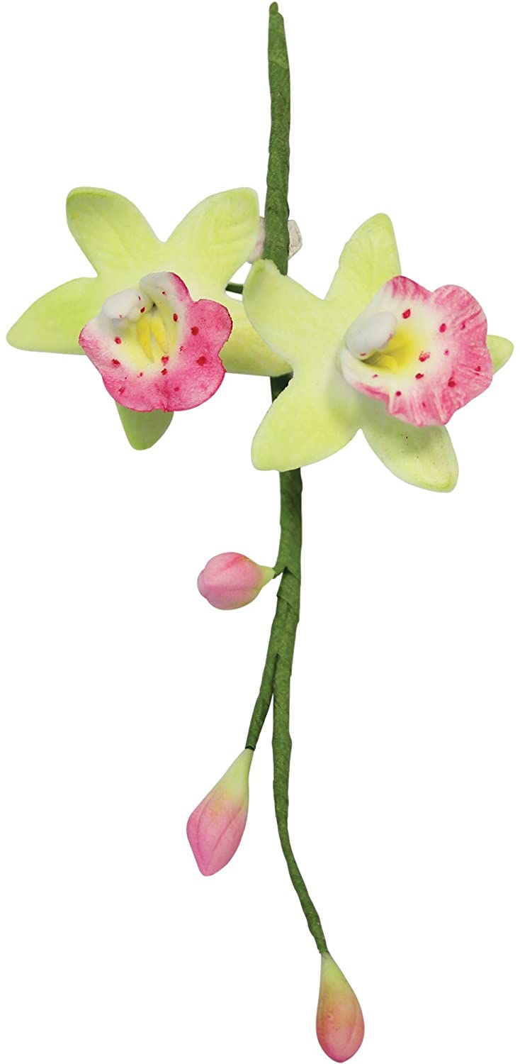 PME Cymbidium Orchid Cutter