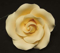 Tea Rose Single w/wire- Ivory - Large