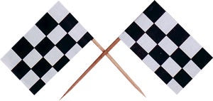 Checkered Flag Cupcake Picks -12 Picks