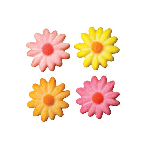 Daisy - Assorted Medium Bright Colors