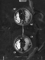 Globe Chocolate Mold
