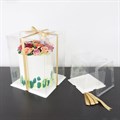 15x15x16, PME Clear Cake Box
