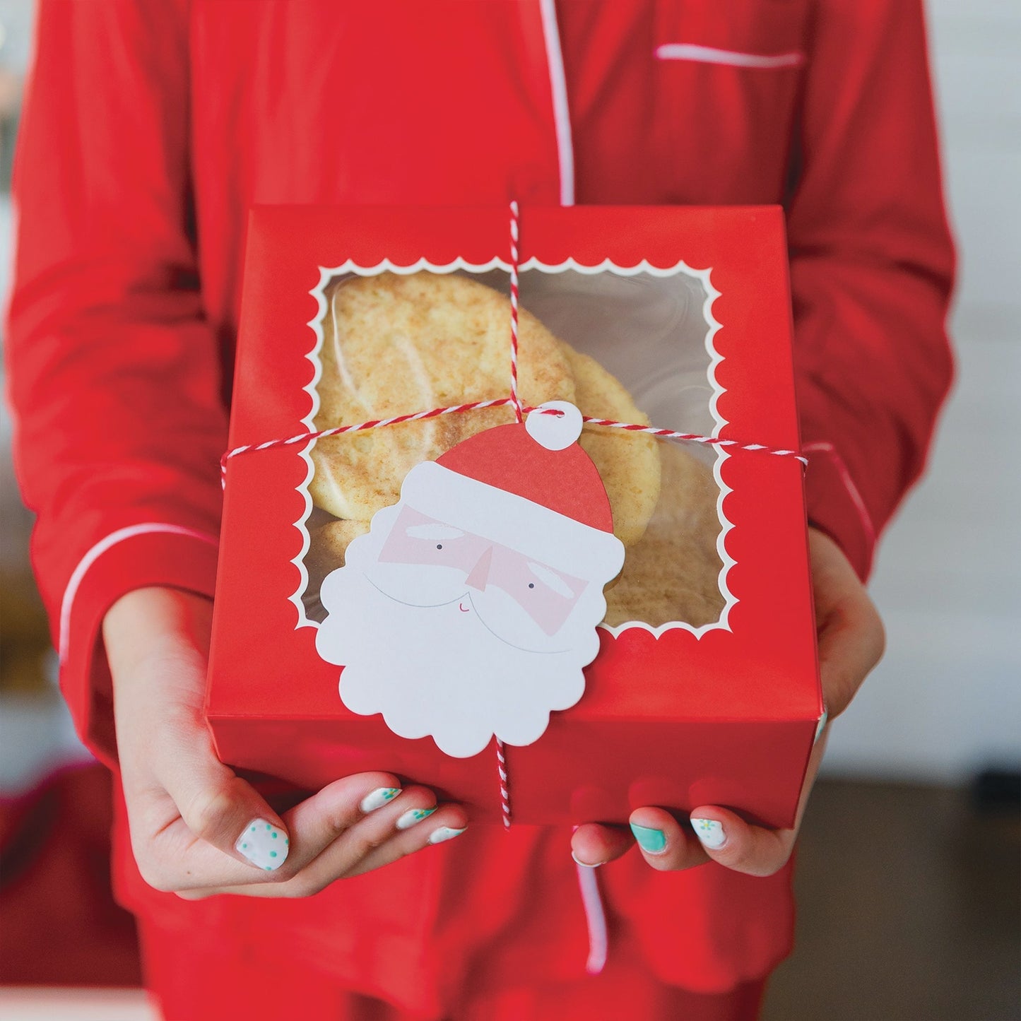Santa Christmas Cookie/Treat Box