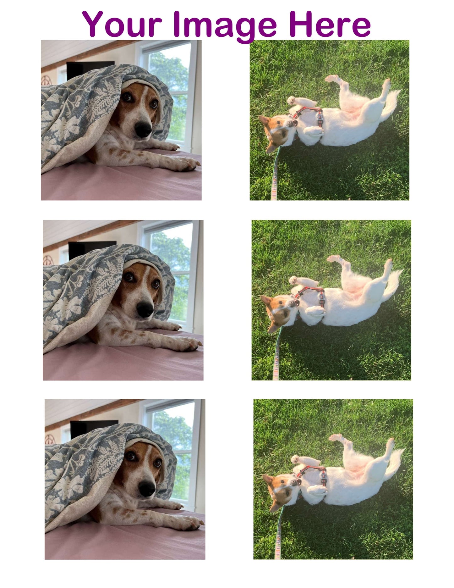 Custom Edible Image