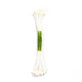 Plain White Stamen - Medium Size